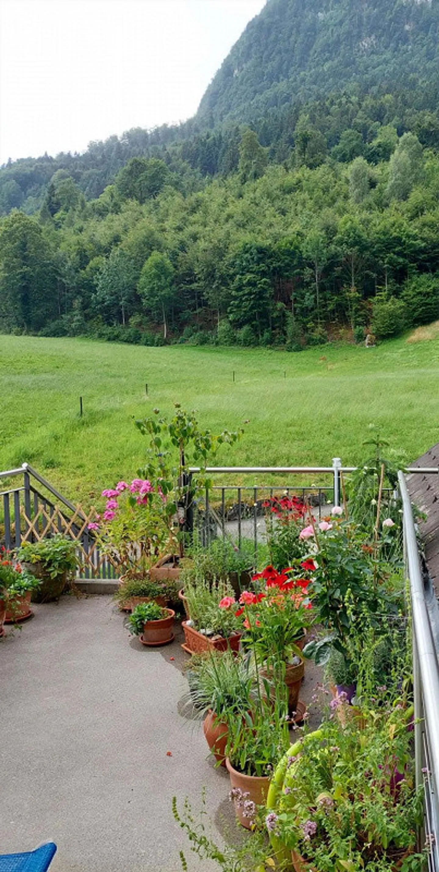 Charmante 3-Zimmerwohnung mit Aussicht - Foto 8 von 23