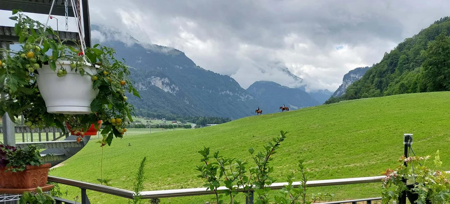 Charmante 3-Zimmerwohnung mit Aussicht - Foto 10 von 23