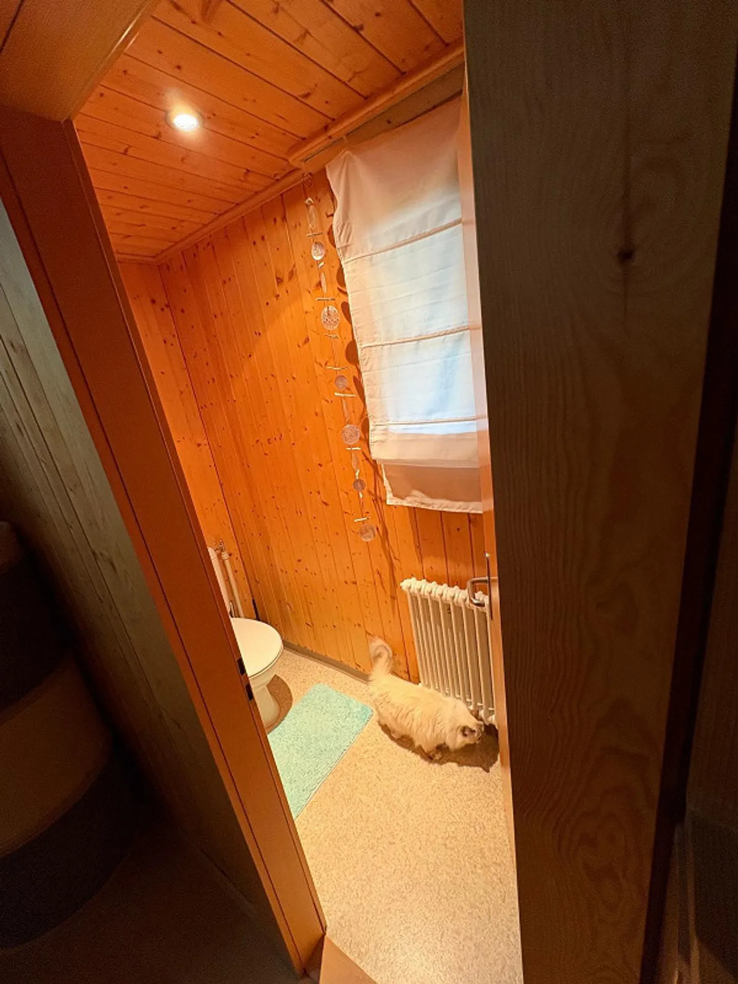 Casa unifamiliare 3.5 stanze con stanza aggiuntiva, limitata fino al 31.5.28 - Foto 12 di 23