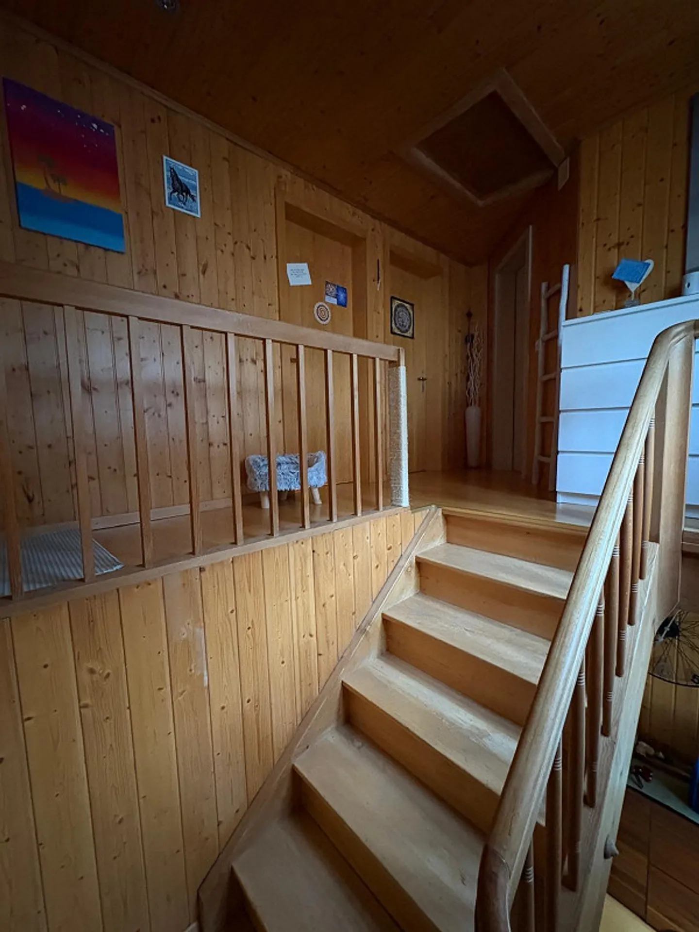 Casa unifamiliare 3.5 stanze con stanza aggiuntiva, limitata fino al 31.5.28 - Foto 13 di 23