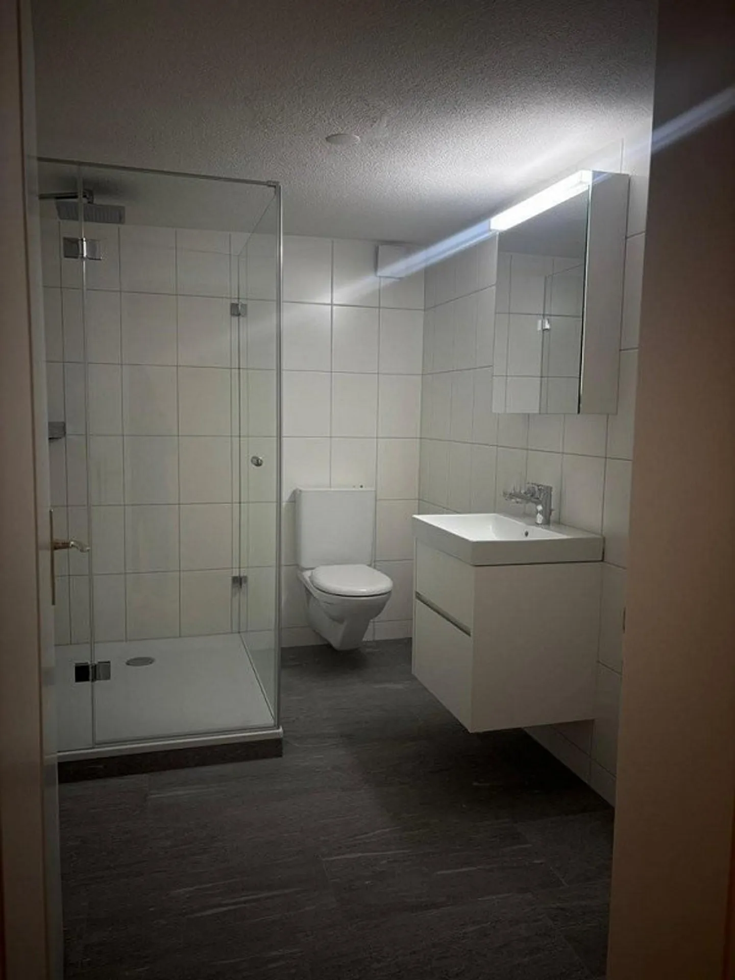 Appartamento accogliente con 1 camera da letto in affitto a Chur! - Foto 8 di 8