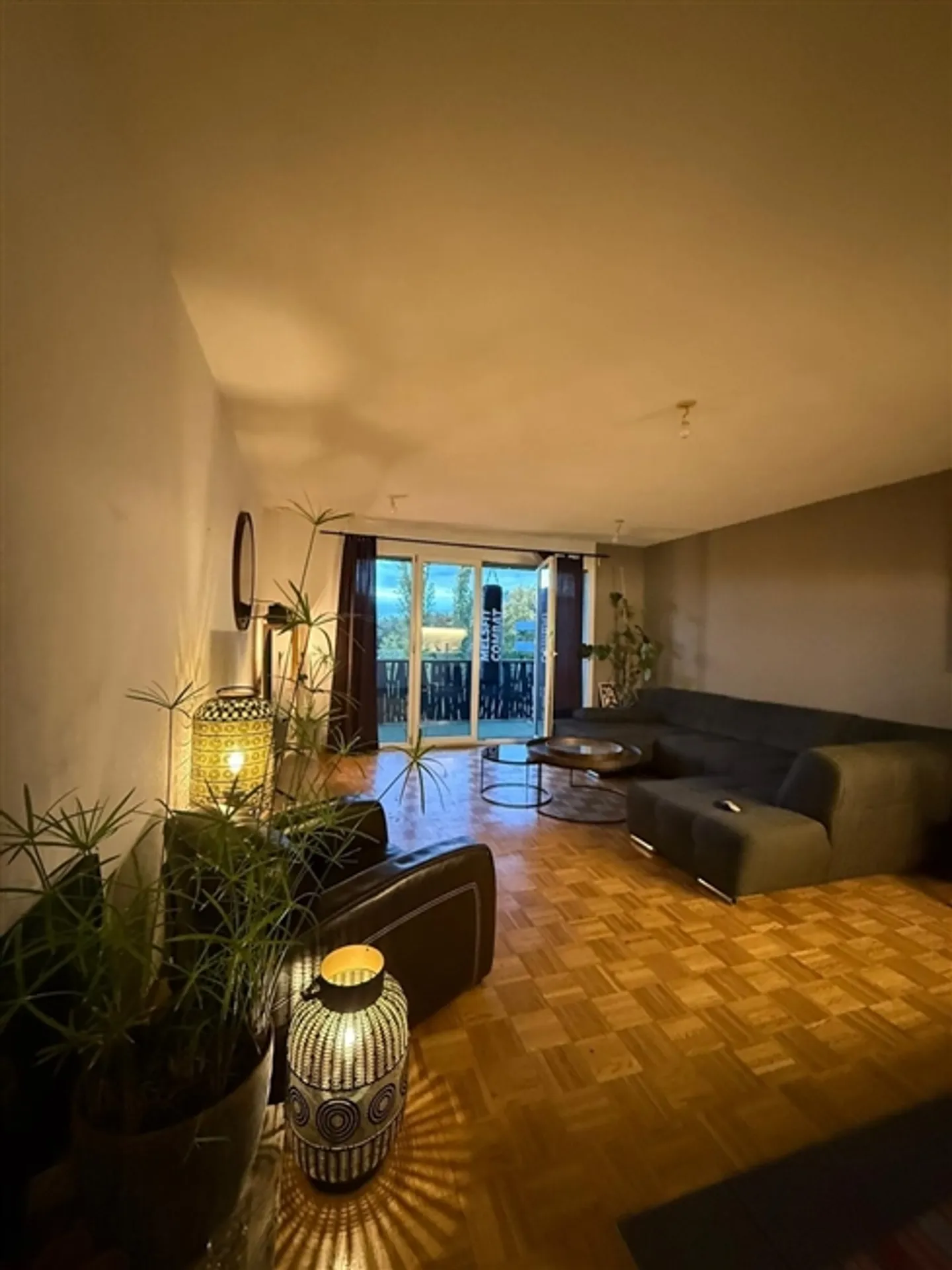 3 ROOM APARTMENT IN LE LIGNON (GE), FURNISHED, TEMPORARY - Photo 4 of 7