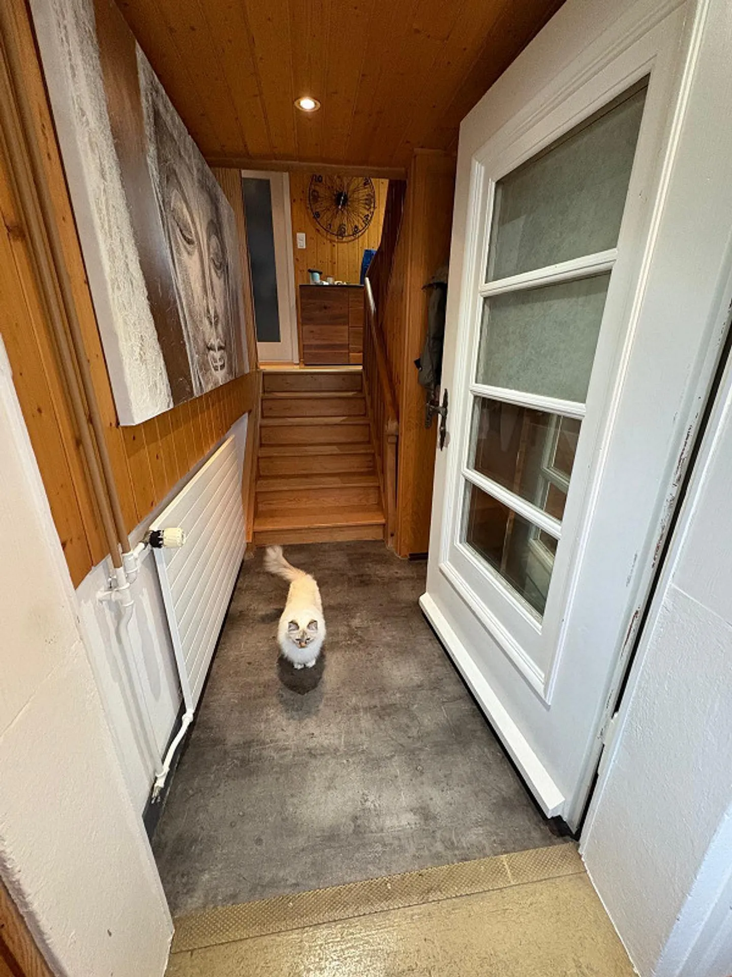 Casa unifamiliare 3.5 stanze con stanza aggiuntiva, limitata fino al 31.5.28 - Foto 15 di 23