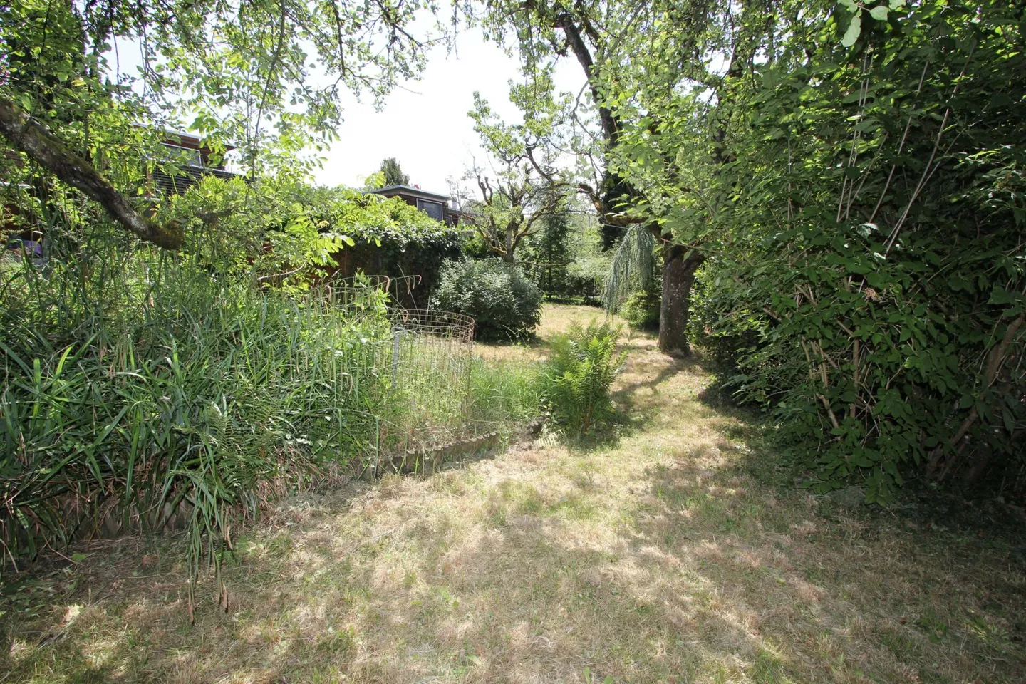 Terreno pronto per costruire - Foto 5 di 10