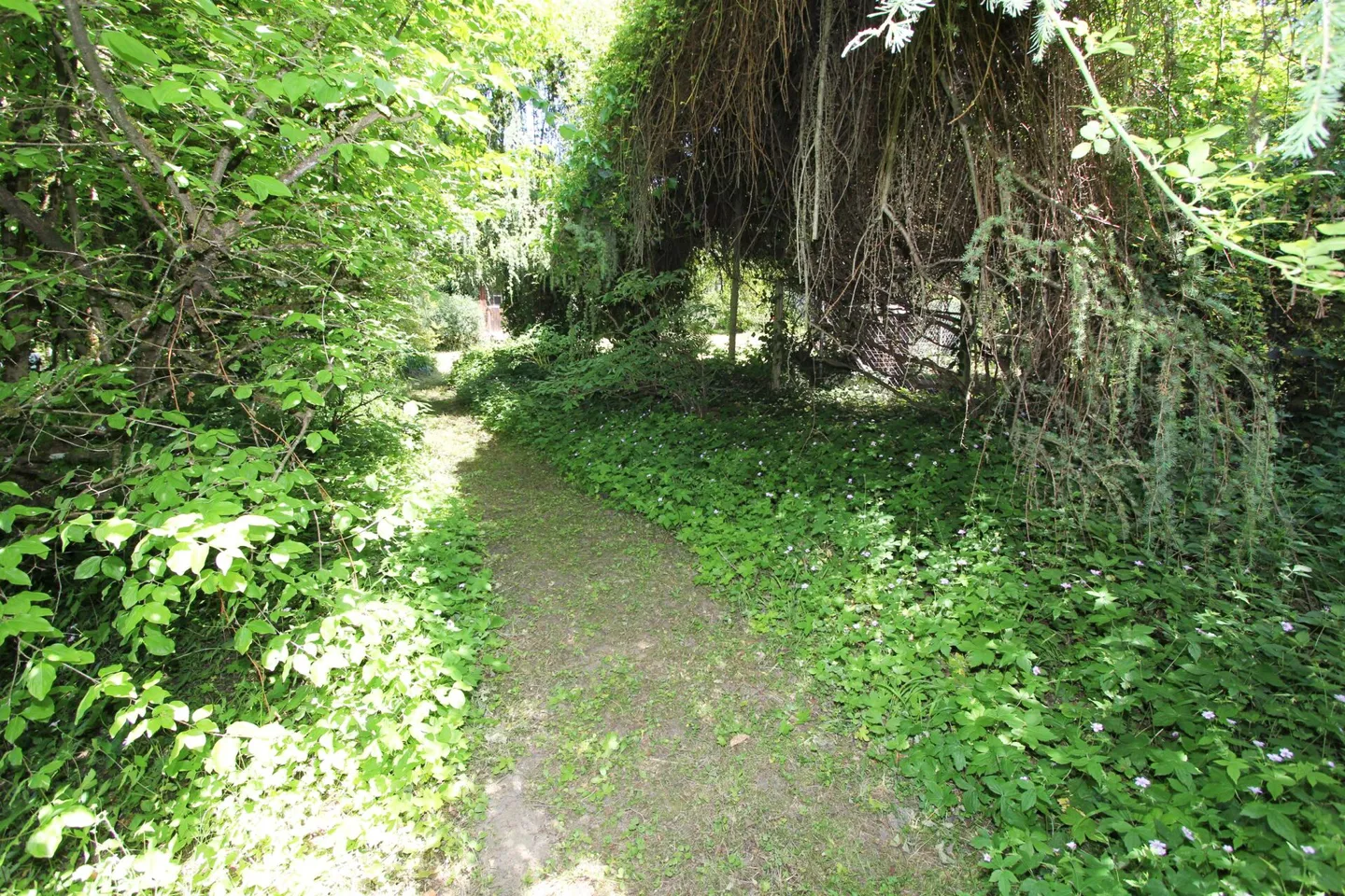 Terreno pronto per costruire - Foto 9 di 10