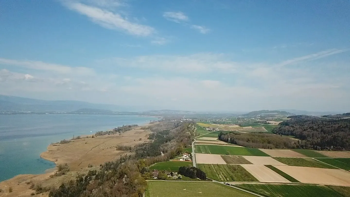 Occasione unica: Terreno edificabile con vista lago a Vully-les-Lacs - Foto 5 di 10