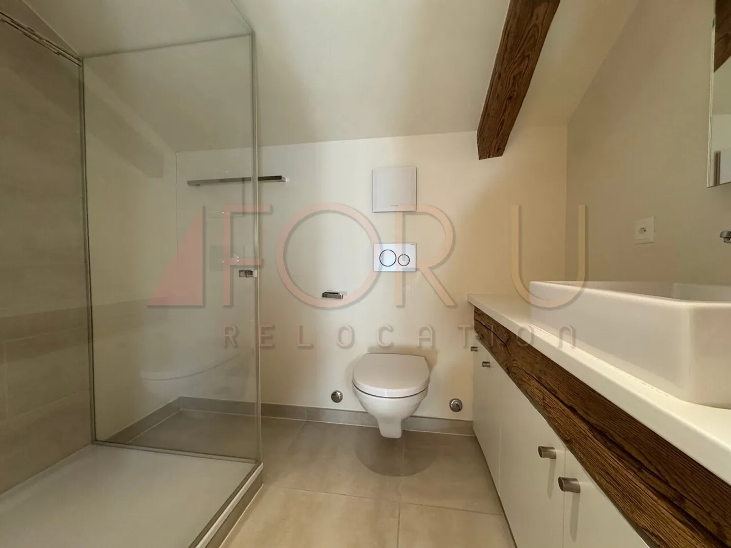 Bellissimo triplex di 6 stanze, insolito e tranquillo con giardino a Vessy - Foto 11 di 13