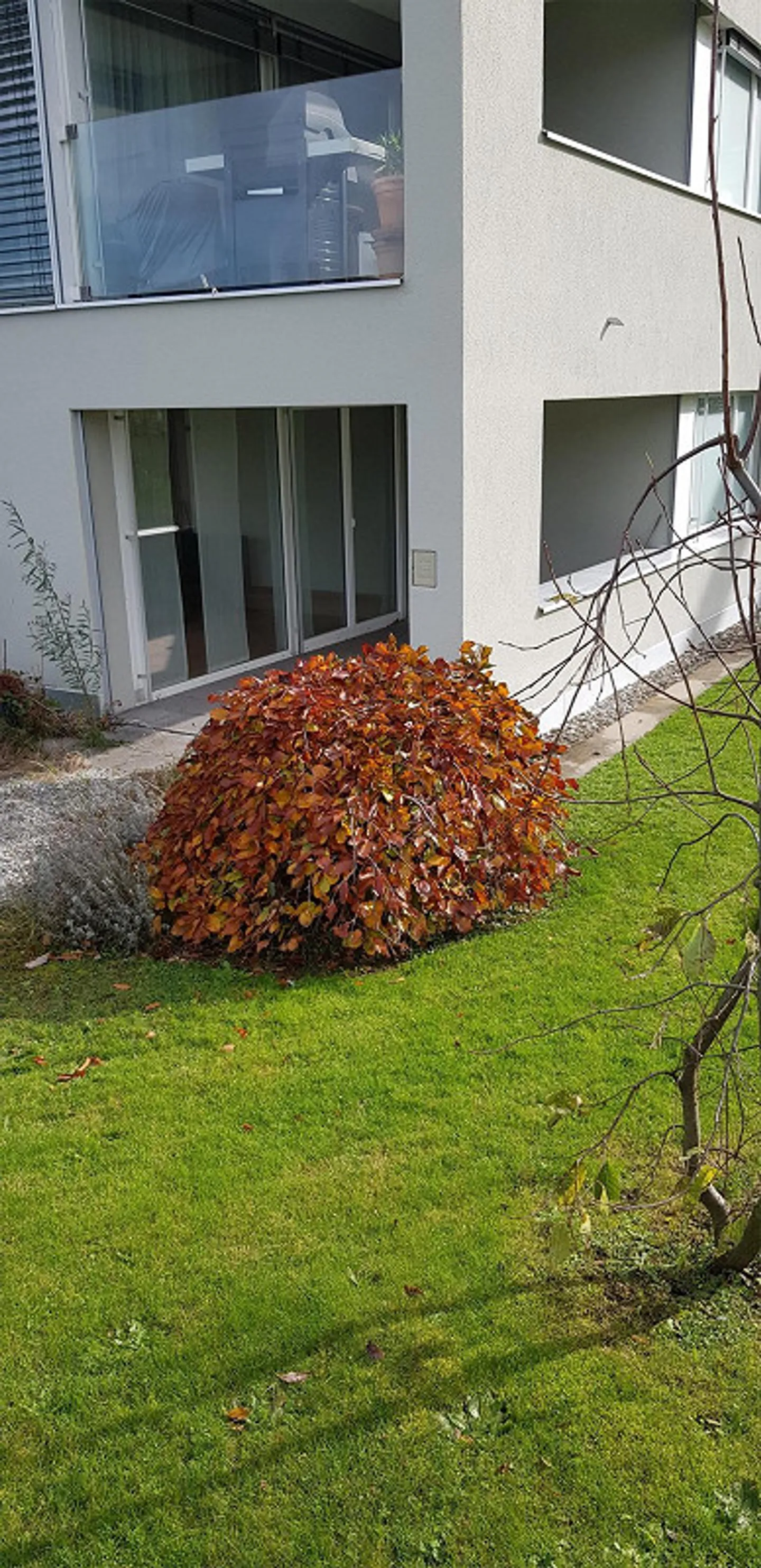 In the village center, renovated 3.5 room apartment on the ground floor - Photo 8 of 9