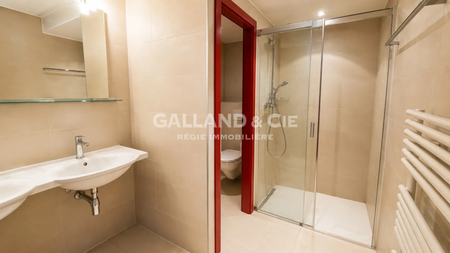 4,5-Zimmer-Wohnung mit Panoramablick in Grandvaux - Foto 6 von 7