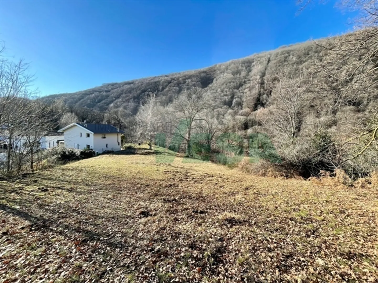 Bellissimo terreno edificabile pianeggiante in una posizione tranquilla nel verde - Foto 3 di 5