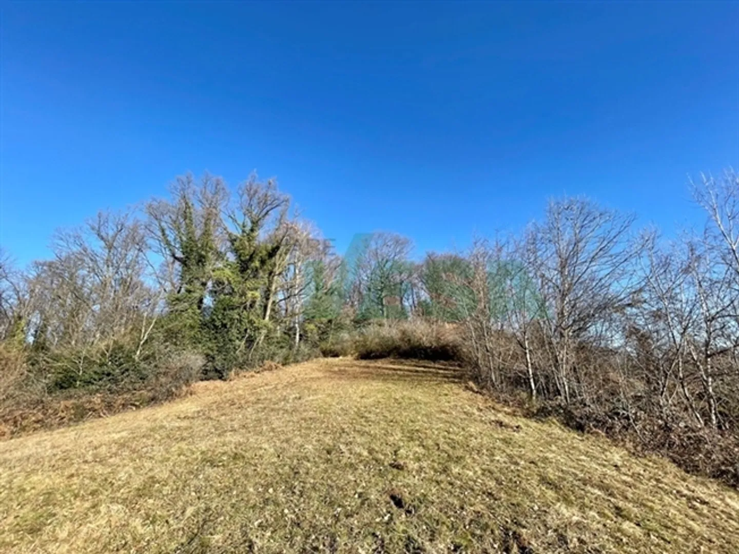 Bellissimo terreno edificabile pianeggiante in una posizione tranquilla nel verde - Foto 4 di 5