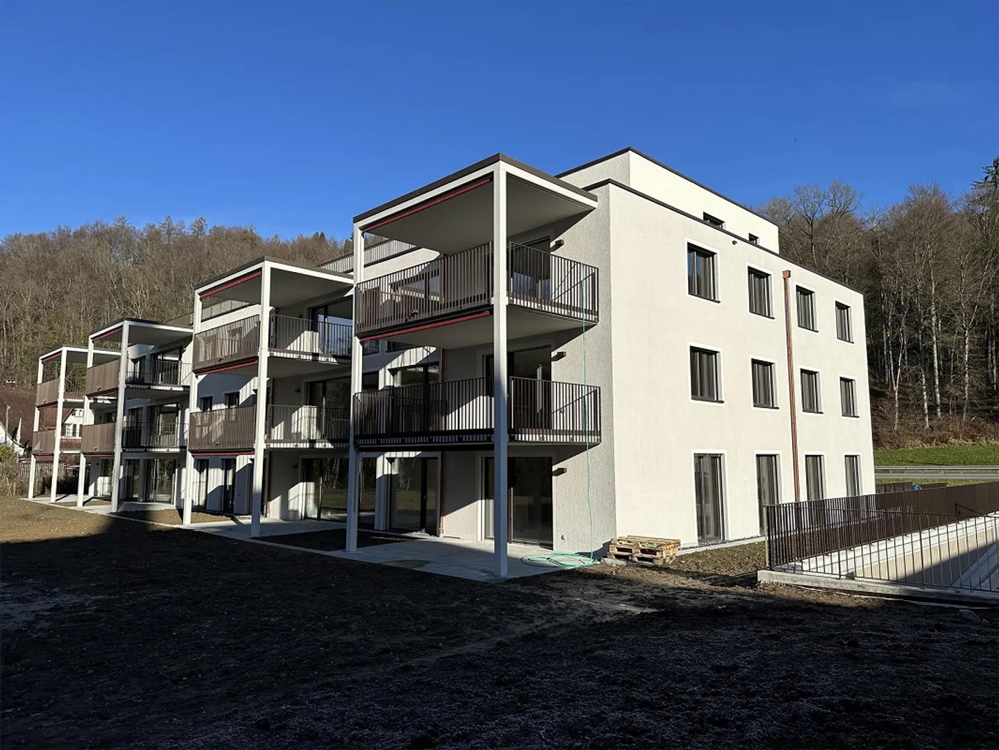 Prima locazione - Ottimo appartamento attico di 4,5 stanze con grande terrazza e vista sul verde - Foto 2 di 13