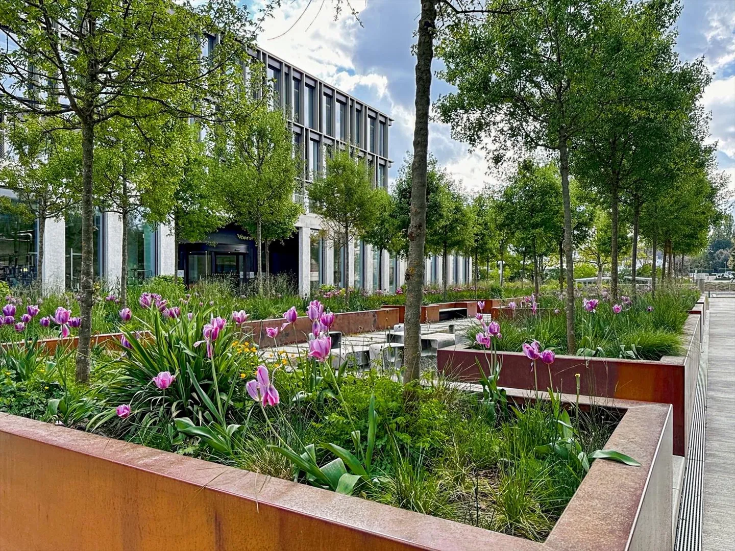 Accesso illimitato agli uffici Regus di Meyrin - Foto 11 di 14