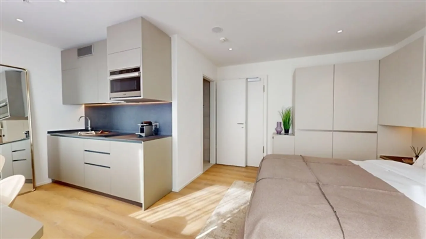 Monolocale ristrutturato vicino a Nations, Palexpo e all'aeroporto di Ginevra - Foto 6 di 17