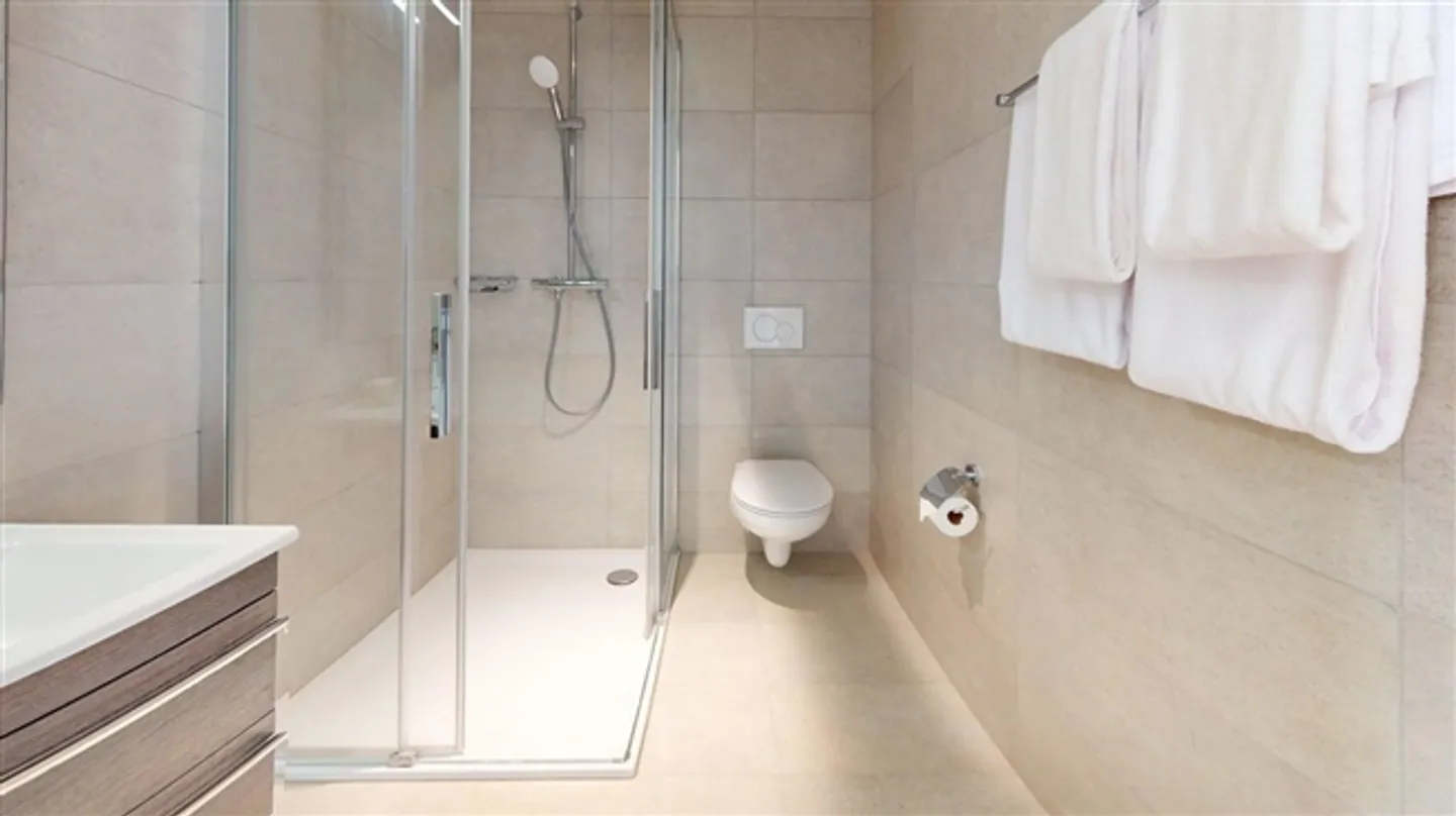 Monolocale ristrutturato vicino a Nations, Palexpo e all'aeroporto di Ginevra - Foto 7 di 17