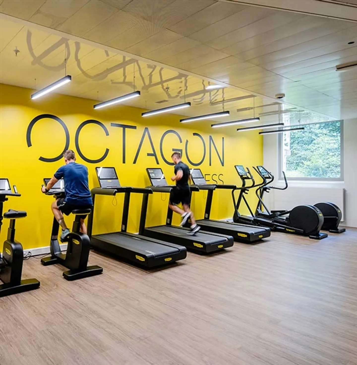 Monolocale ristrutturato vicino a Nations, Palexpo e all'aeroporto di Ginevra - Foto 8 di 17