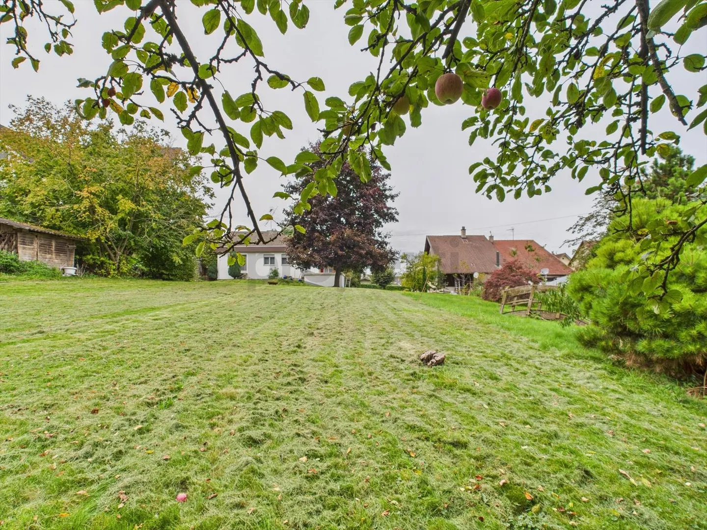 Einfamilienhaus mit großem Grundstück in Courgenay - Foto 5 di 7