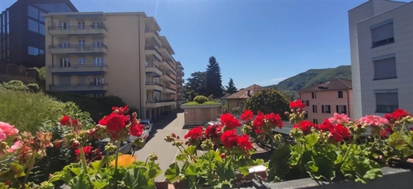 «Ampio appartamento in zona residenziale» - Foto 9 di 17