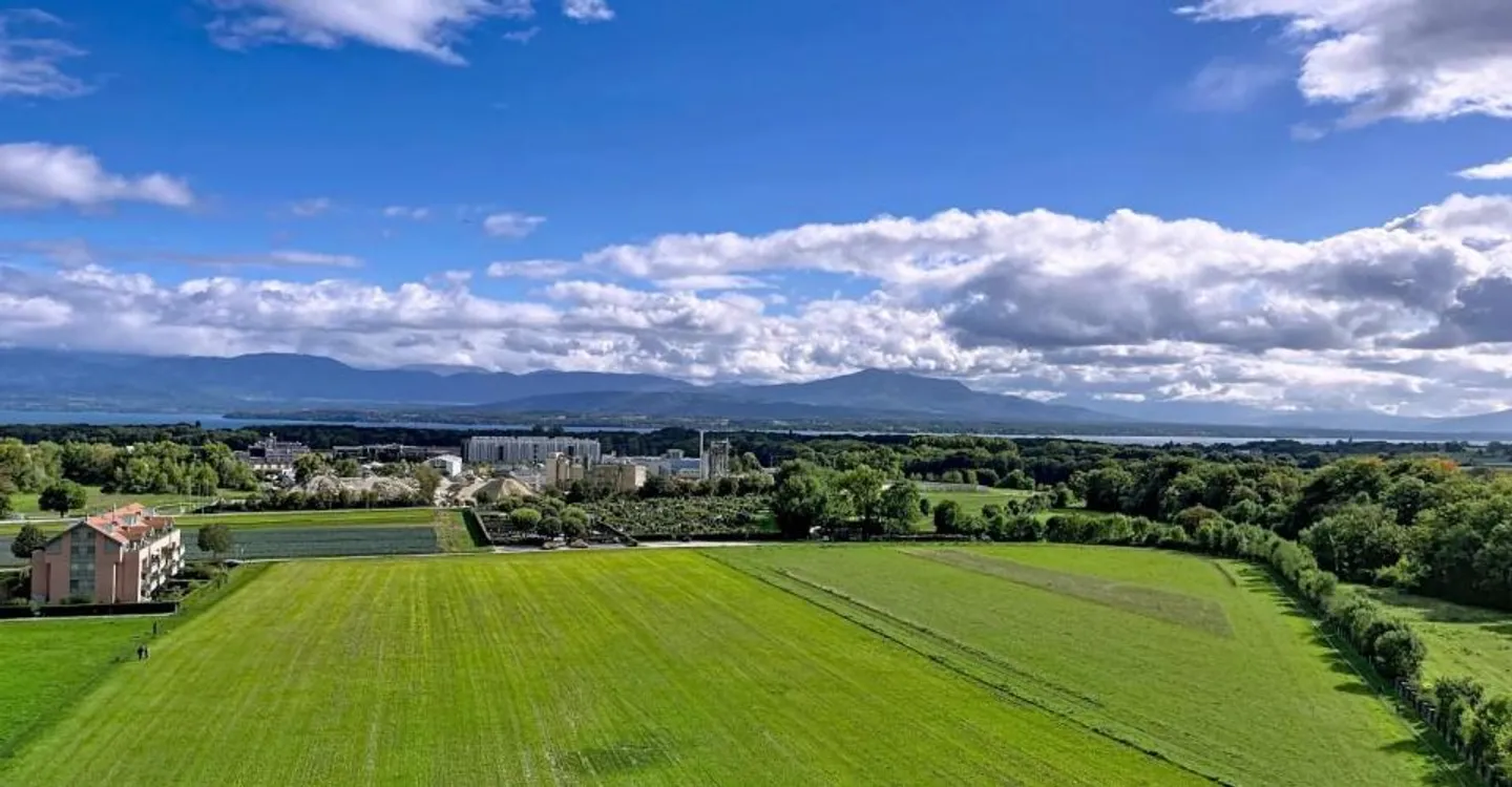 With a View - Photo 5 of 12