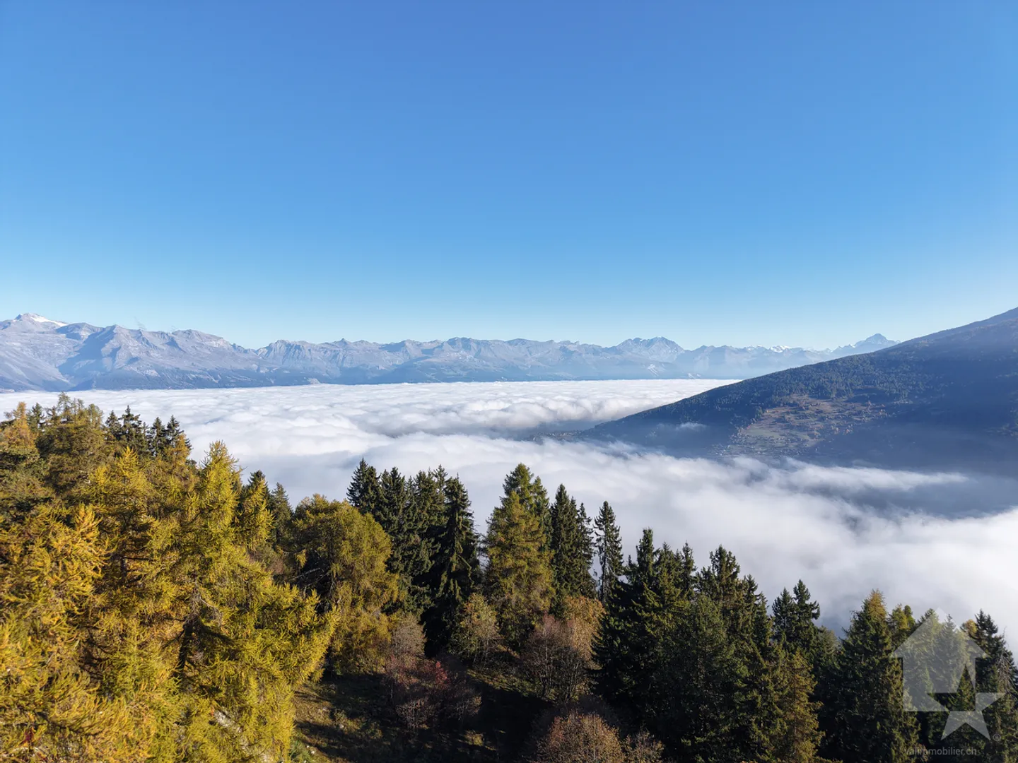 Appartamento di 2,5 locali con magnifica vista panoramica - Foto 11 di 11