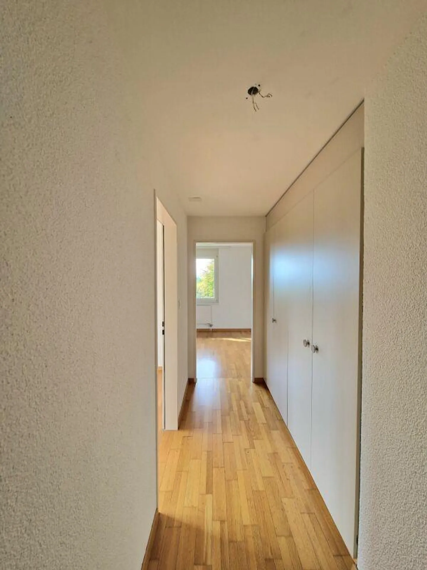 Close to nature yet central - Photo 5 of 10