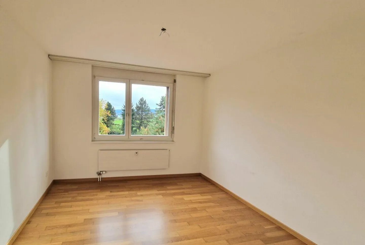 Close to nature yet central - Photo 6 of 10