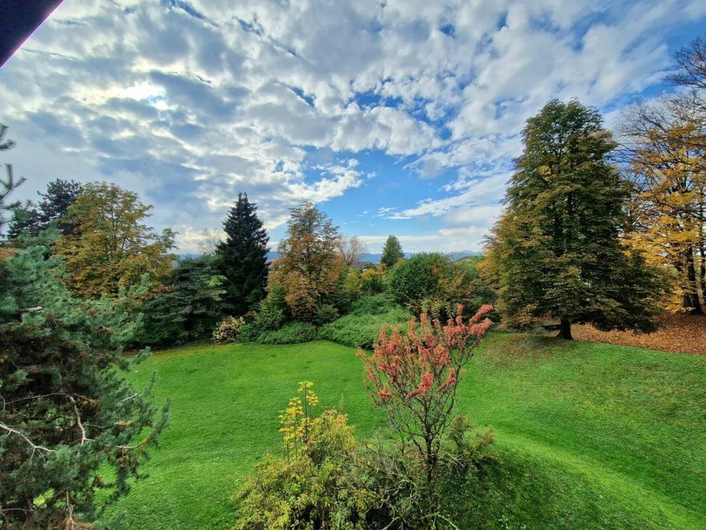 Close to nature yet central - Photo 8 of 10