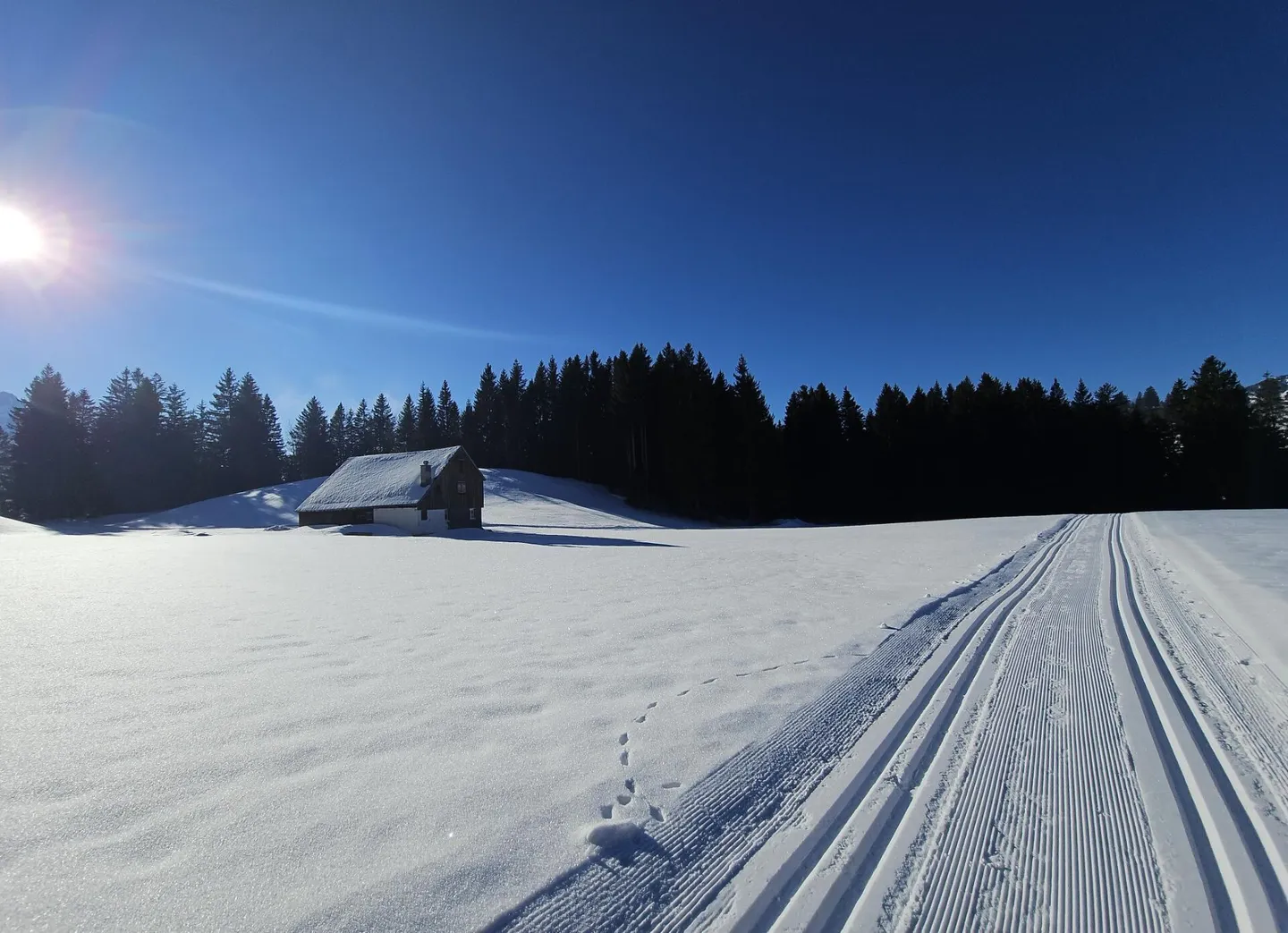 MAGIE D'HIVER AU-DESSUS DE LA MER DE BROUILLARD : Deux appartements de jardin exclusifs et modernes (5.5 et 3.5 pièces) - Photo 2 sur 13