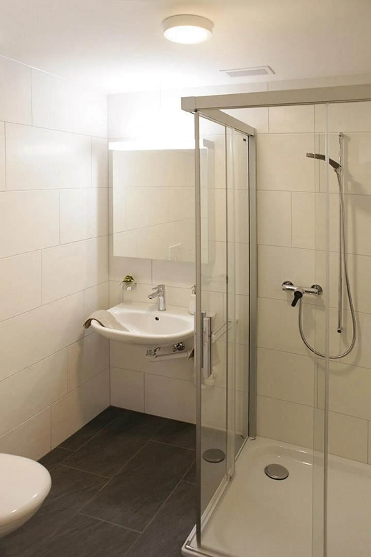 4.5 Room Apartment in Sattel - Photo 4 of 4