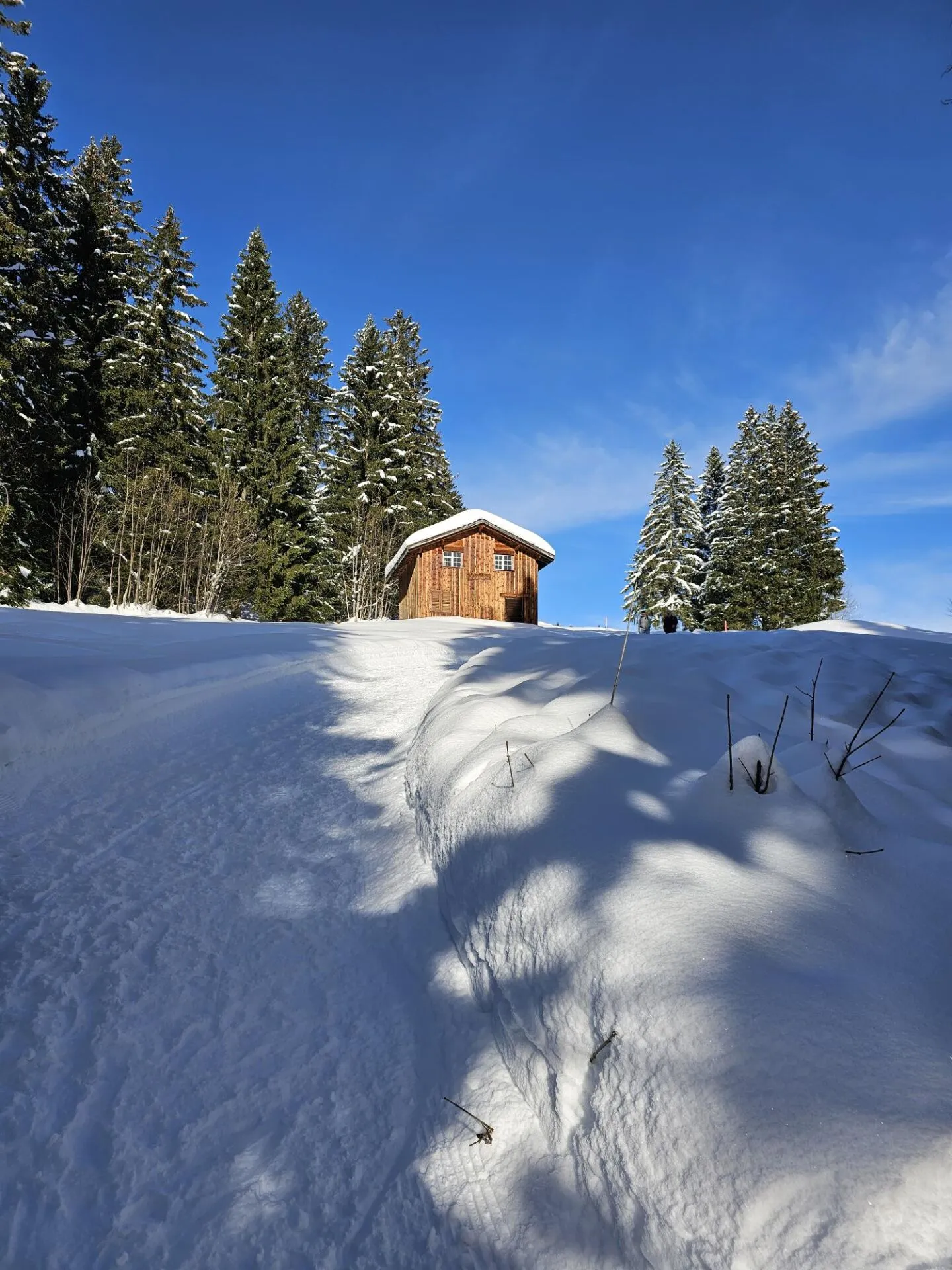 VIVRE MODERNE DANS UN PANORAMA D'HIVER : Appartements de jardin de 3,5 et 5,5 pièces avec de grandes terrasses à Amden - Photo 10 sur 10