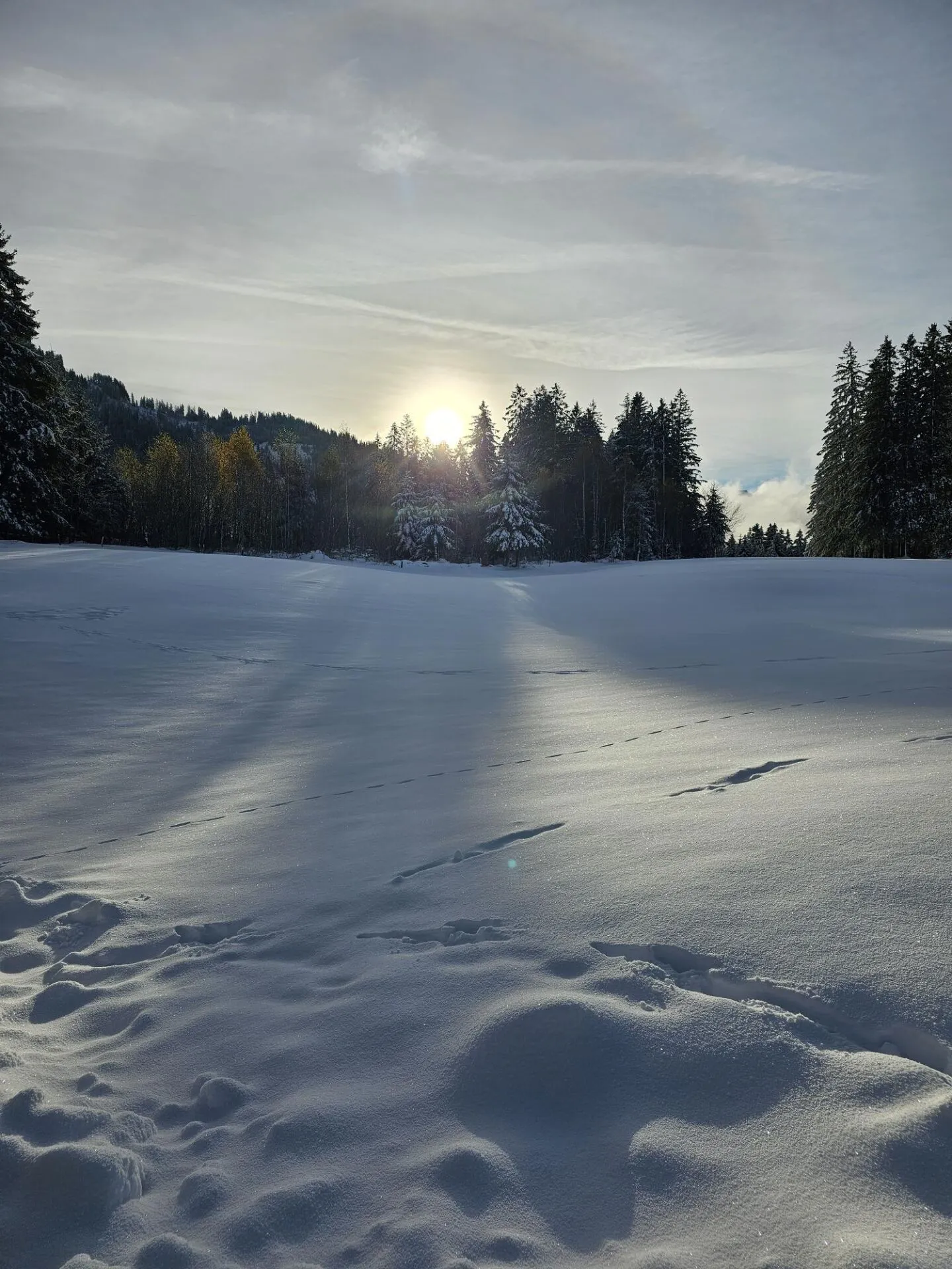 MAGIE D'HIVER AU-DESSUS DE LA MER DE BROUILLARD : Deux appartements de jardin exclusifs et modernes (5.5 et 3.5 pièces) - Photo 13 sur 13