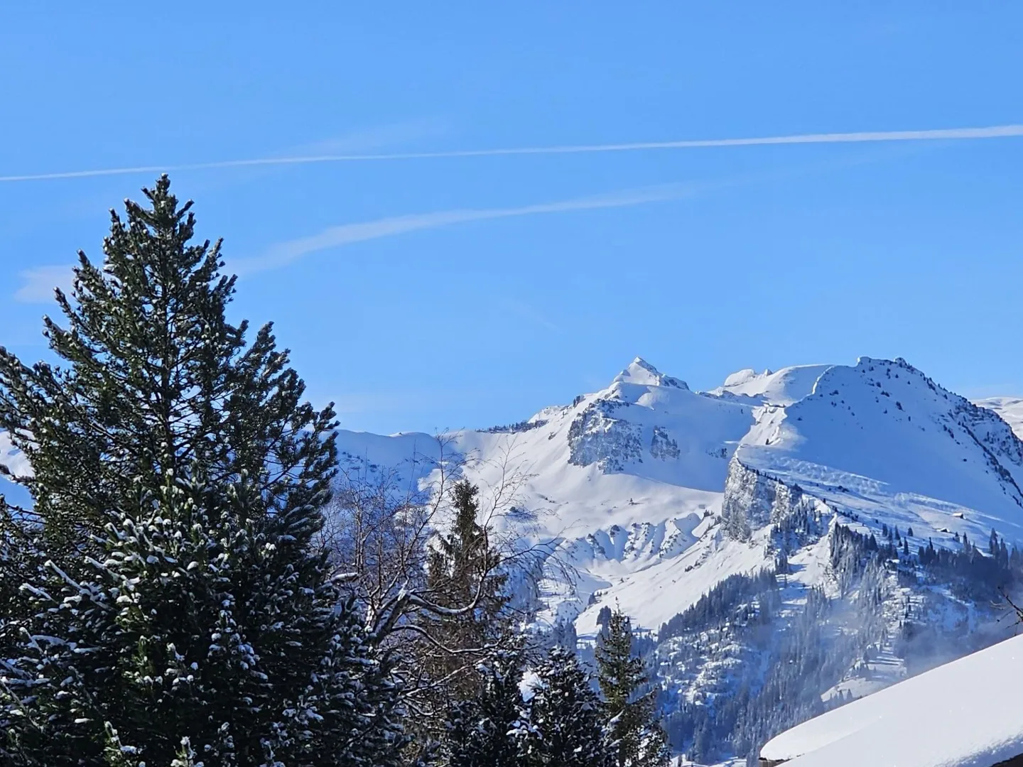 VIVRE MODERNE DANS UN PANORAMA D'HIVER : Appartements de jardin de 3,5 et 5,5 pièces avec de grandes terrasses à Amden - Photo 1 sur 10