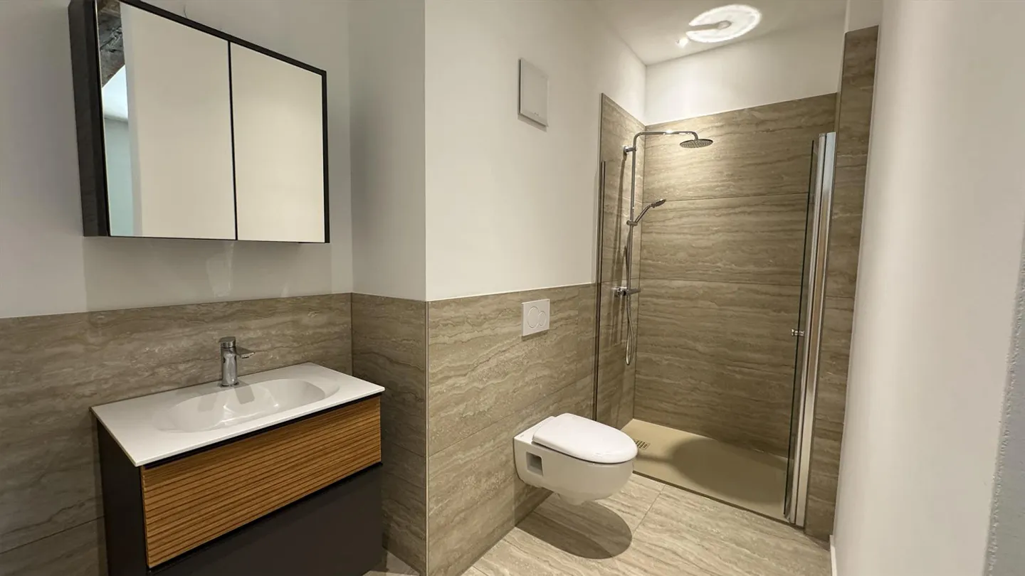 Dreamlike terrace apartment with modern flair in Steckborn, Canton TG - Photo 10 of 14