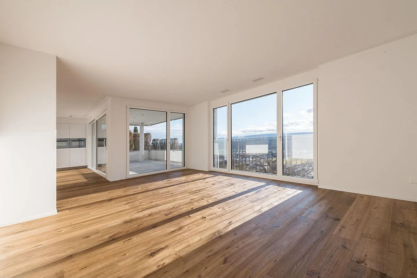 Living in the Belvédère with a view of the Alps, ownership standard - Photo 3 of 5