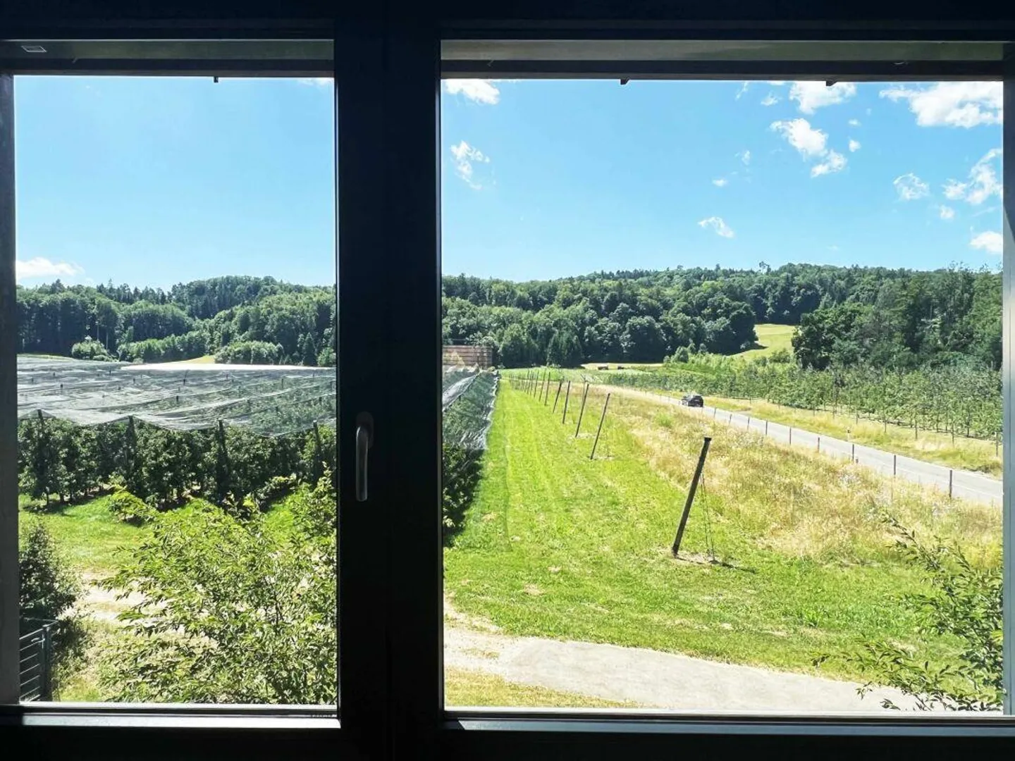 Attique à vendre - Photo 6 sur 16