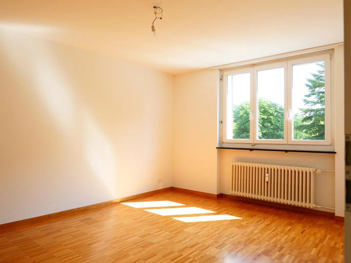 Ampio appartamento di 4,5 stanze con 2 posti a sedere in giardino - Foto 8 di 19