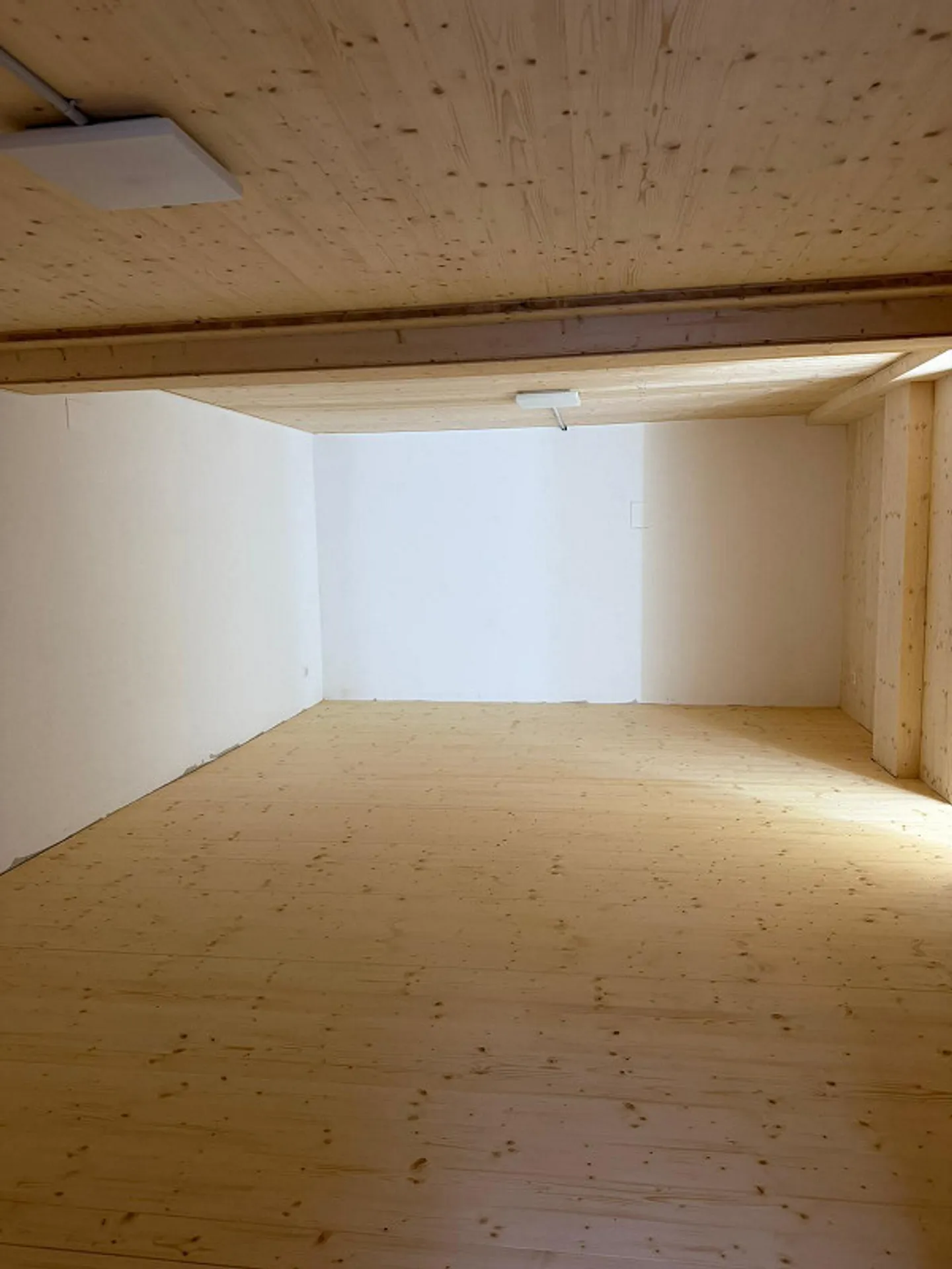 Completely renovated 230-year-old house with large garden - Photo 19 of 28