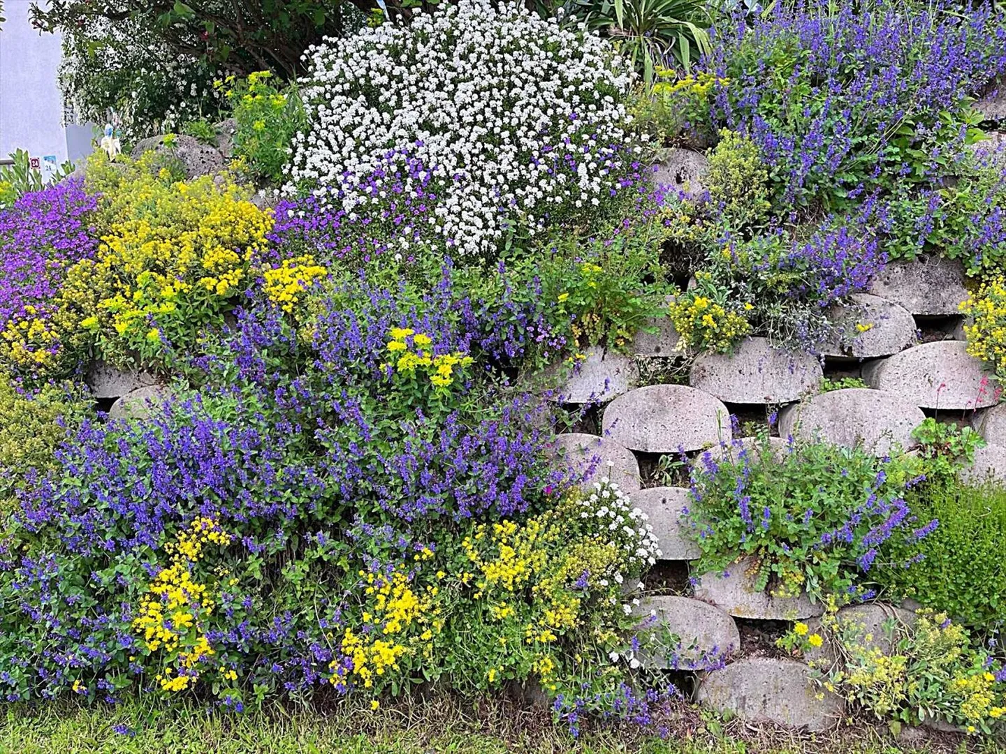 Superba villa indipendente con grande giardino in quartiere residenziale - Foto 6 di 13