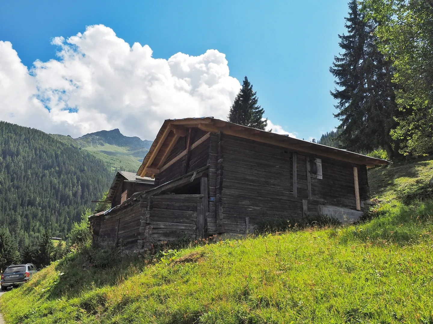 RARE! Mayen con permesso di ristrutturazione nel Val de Bagnes - Foto 3 di 6