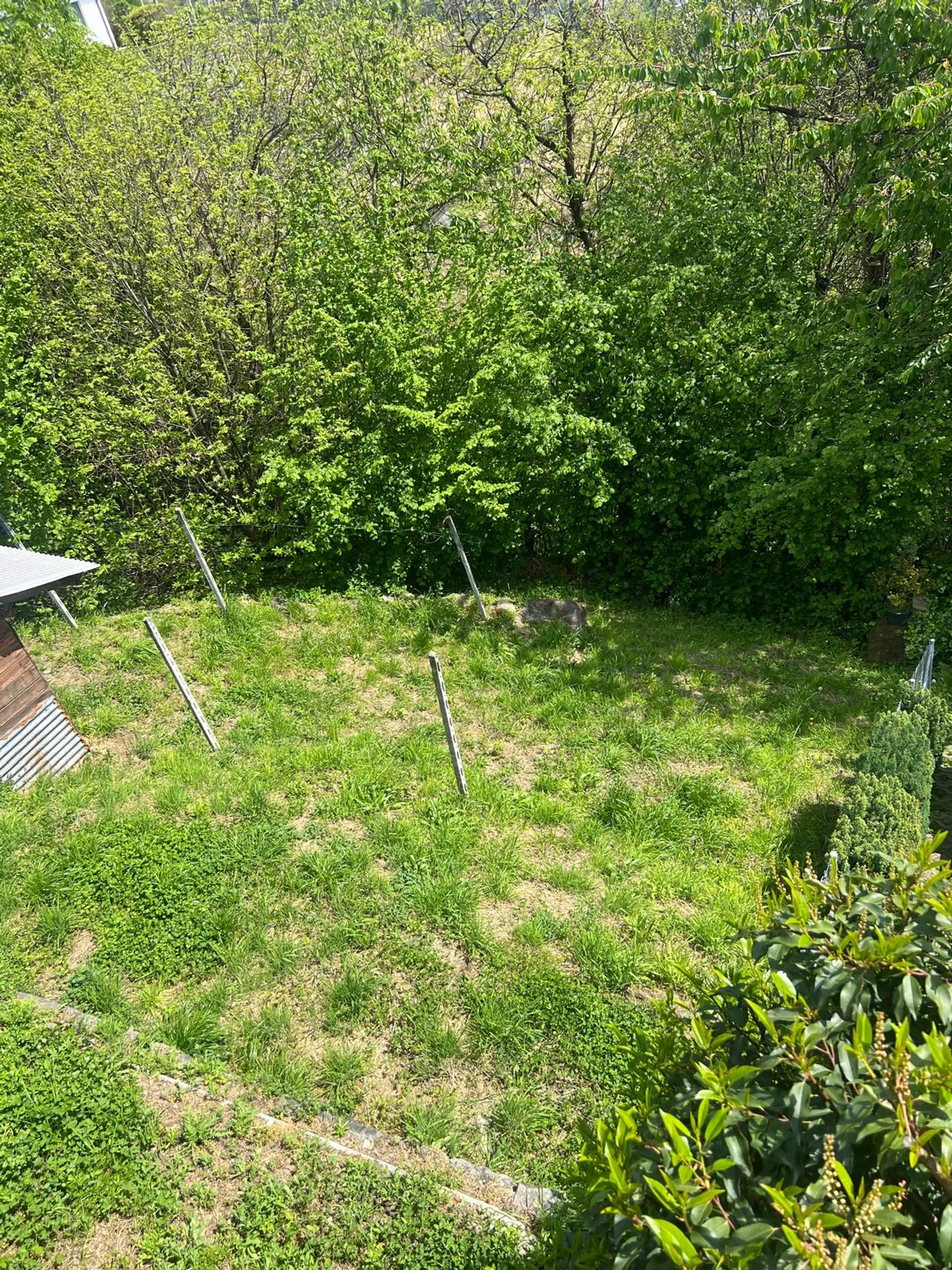 Charmantes Rustico mit atemberaubendem Panoramablick in Gordola - Foto 3 von 8