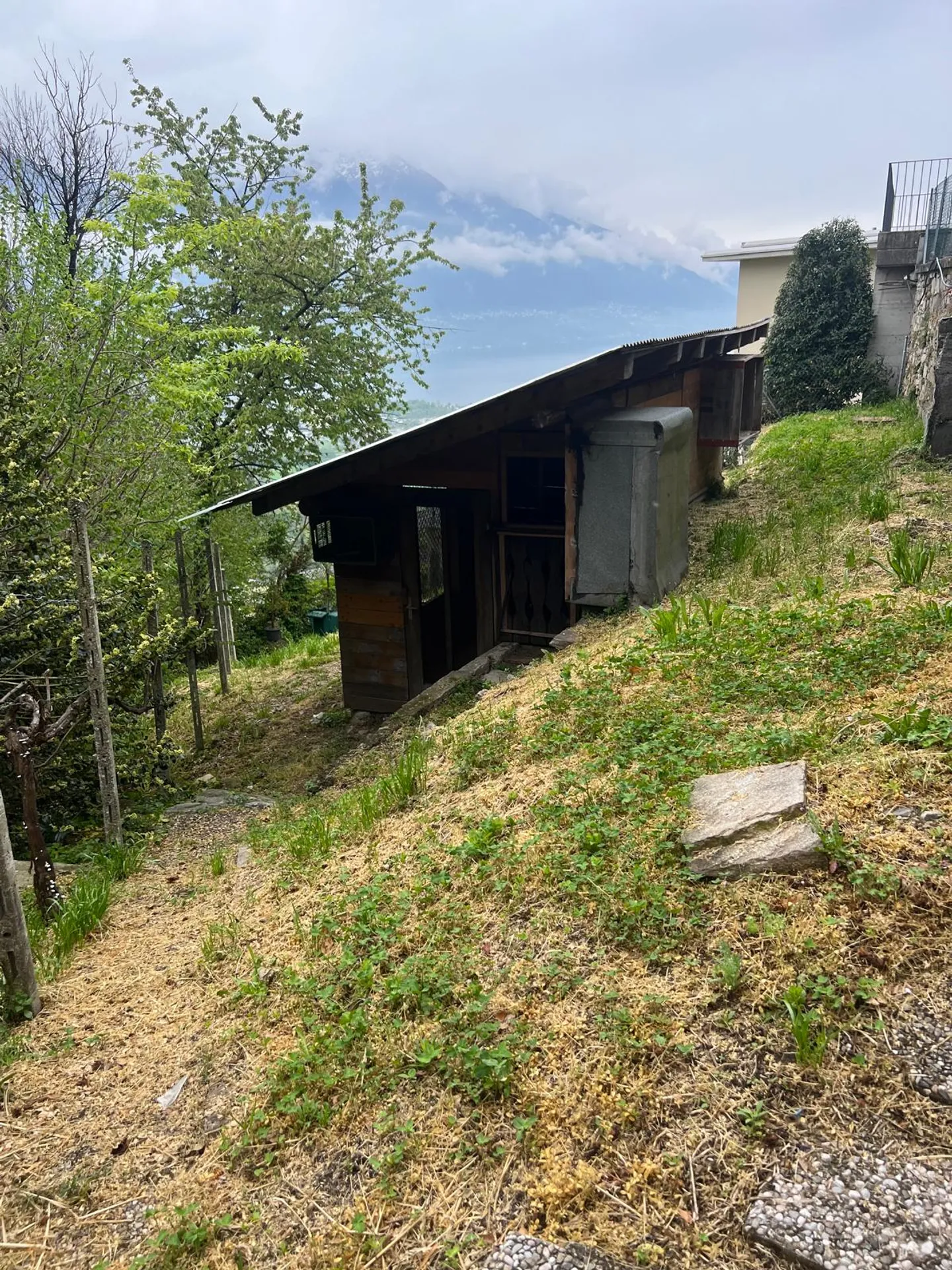 Charmantes Rustico mit atemberaubendem Panoramablick in Gordola - Foto 8 von 8