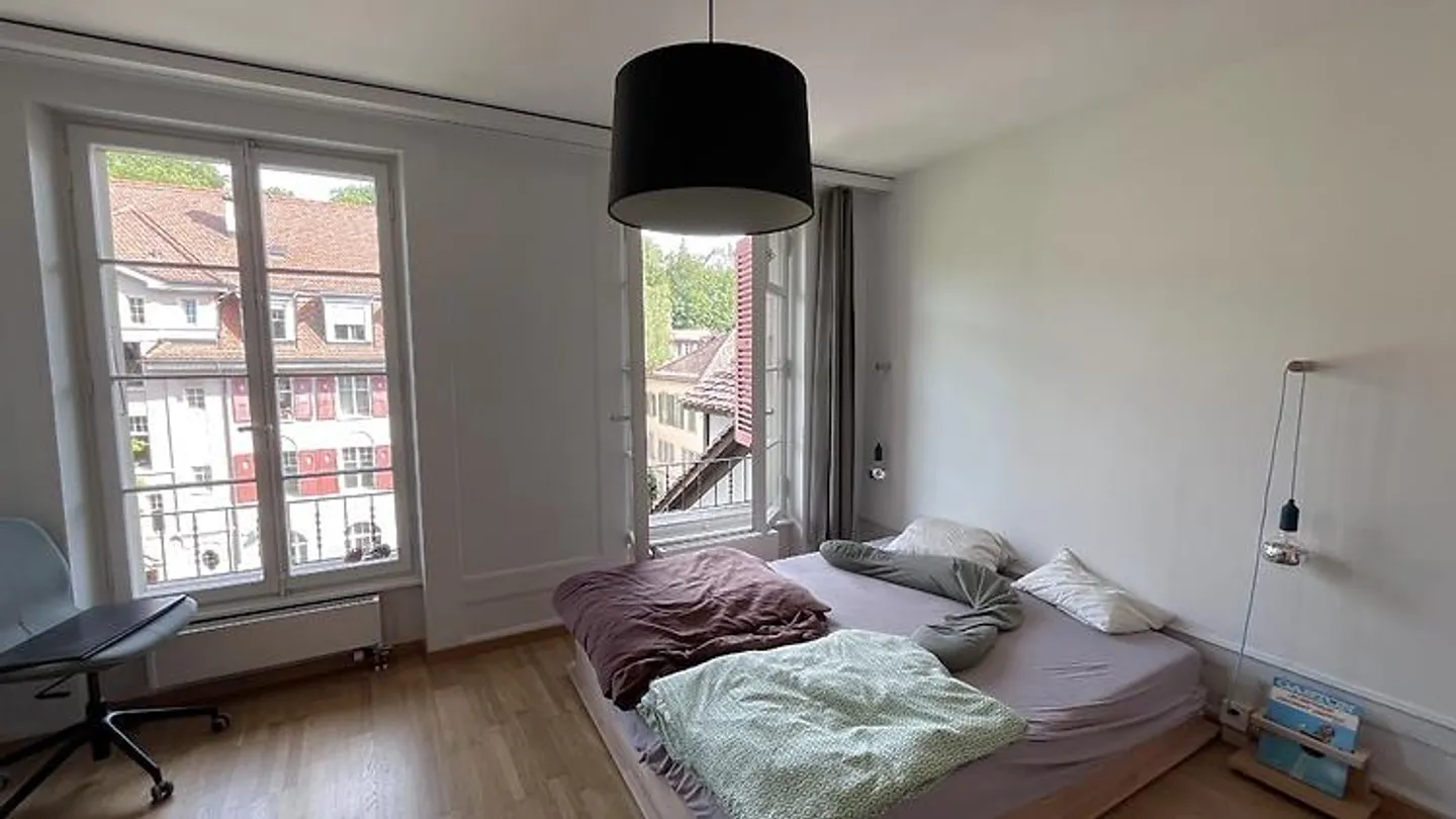 2 ROOM APARTMENT IN BERN - MATTE, FURNISHED, TEMPORARY - Photo 3 of 8