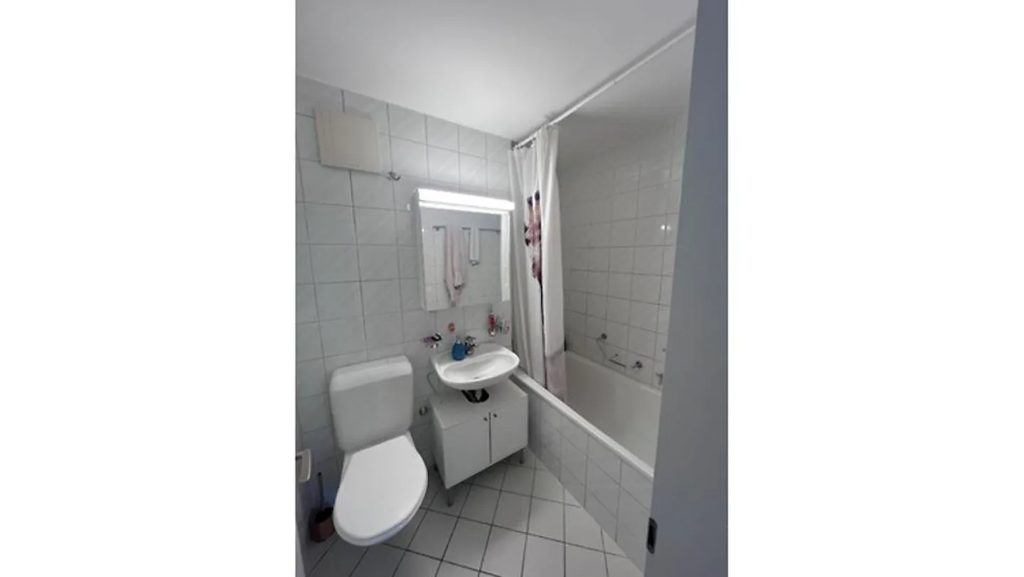 2 ROOM APARTMENT IN BERN - MATTE, FURNISHED, TEMPORARY - Photo 6 of 8