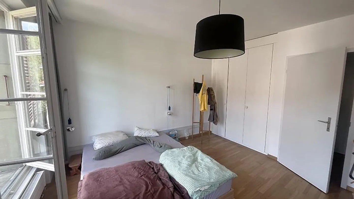 2 ROOM APARTMENT IN BERN - MATTE, FURNISHED, TEMPORARY - Photo 4 of 8