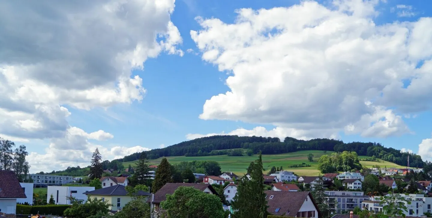 Opportunity for your own interior design: The last available house - Photo 8 of 11