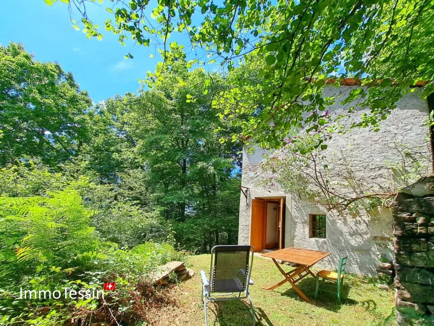 OPPORTUNITÀ: Assoluto Bijou Rustico in una Posizione Meravigliosa in Mezzo a una Radura nel Bosco - Foto 1 di 13