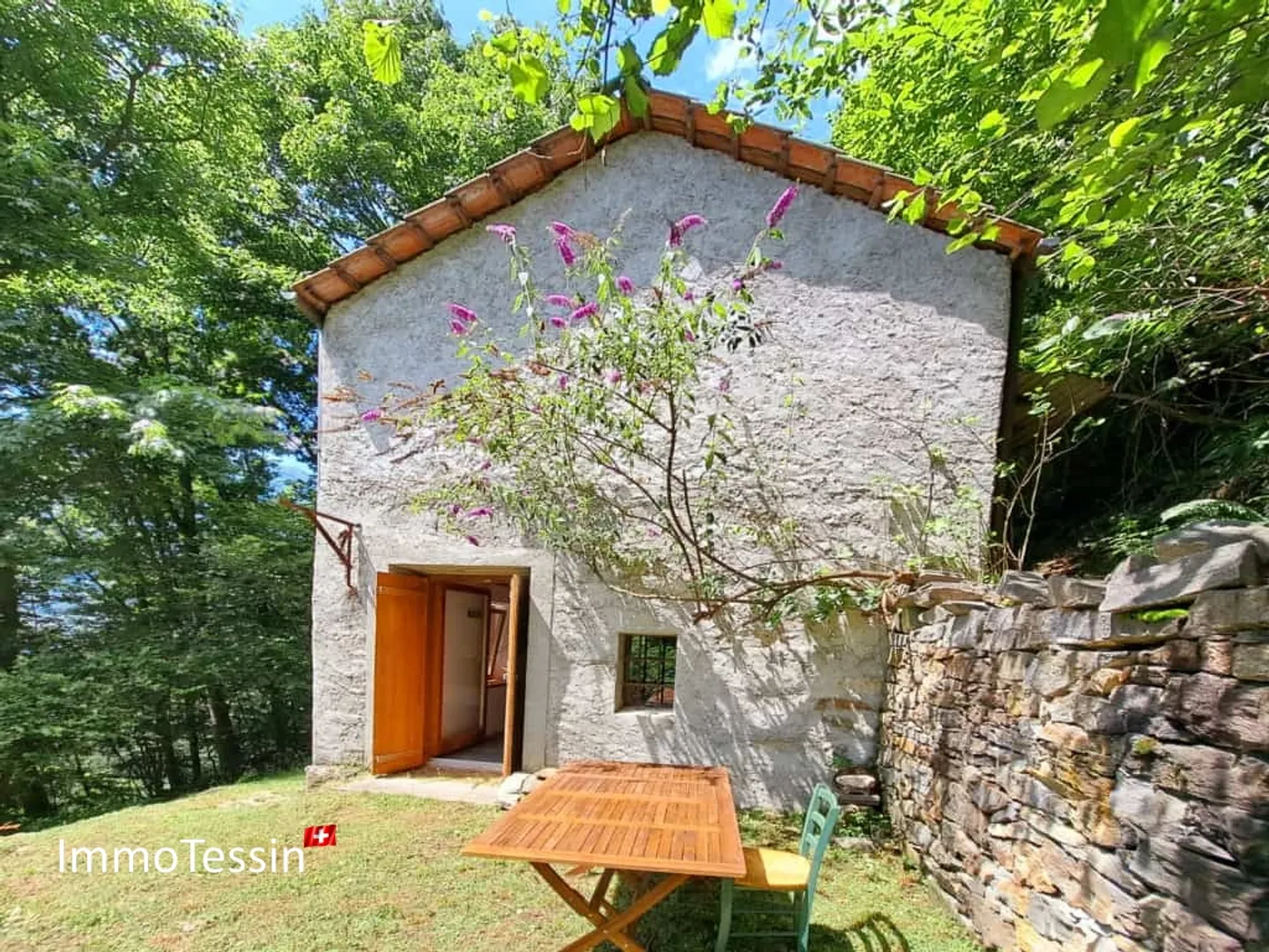 OPPORTUNITÀ: Assoluto Bijou Rustico in una Posizione Meravigliosa in Mezzo a una Radura nel Bosco - Foto 2 di 13