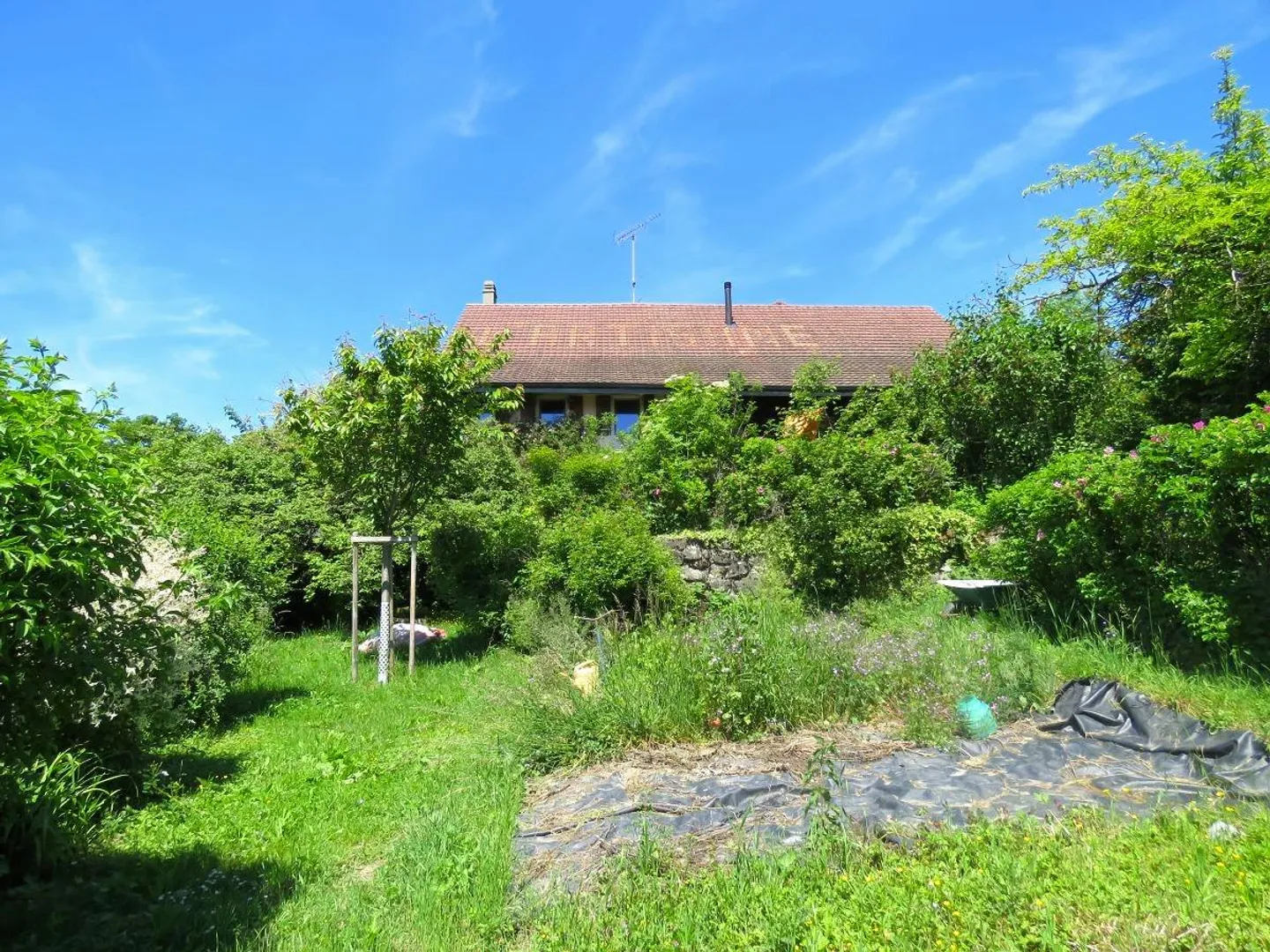 Magnifique ferme villageoise de 8.5 pièces, au fort potentiel - Photo 17 of 20
