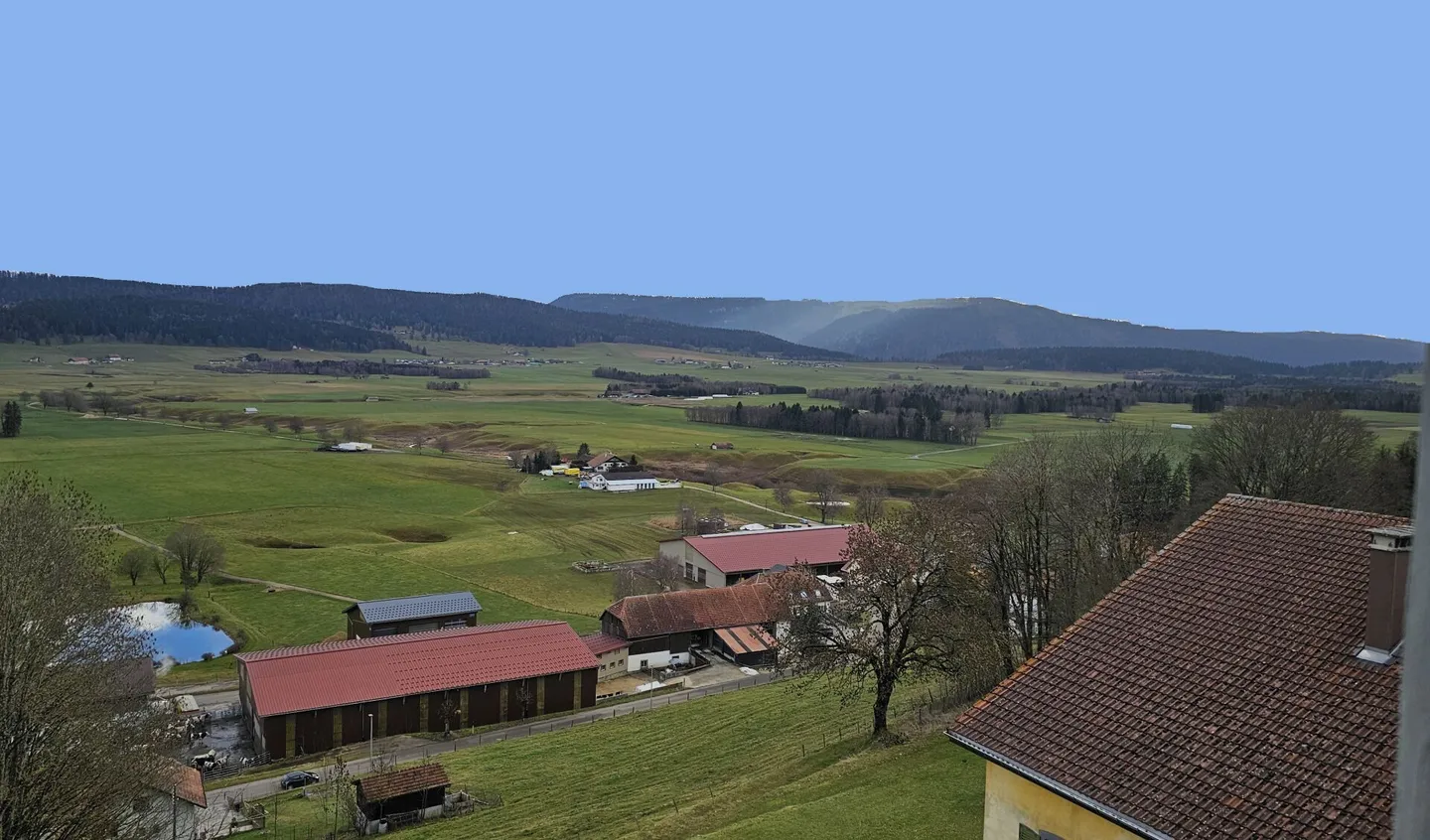 Wohnung - Foto 15 von 15