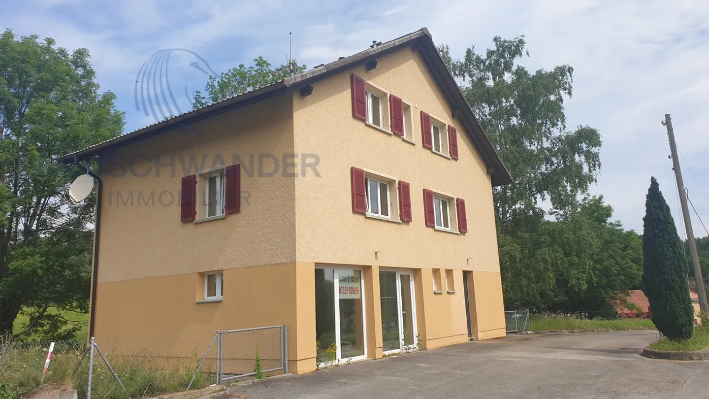 Zwei Wohnungen und ein Geschäftslokal für Ihre Investition - Foto 1 von 10